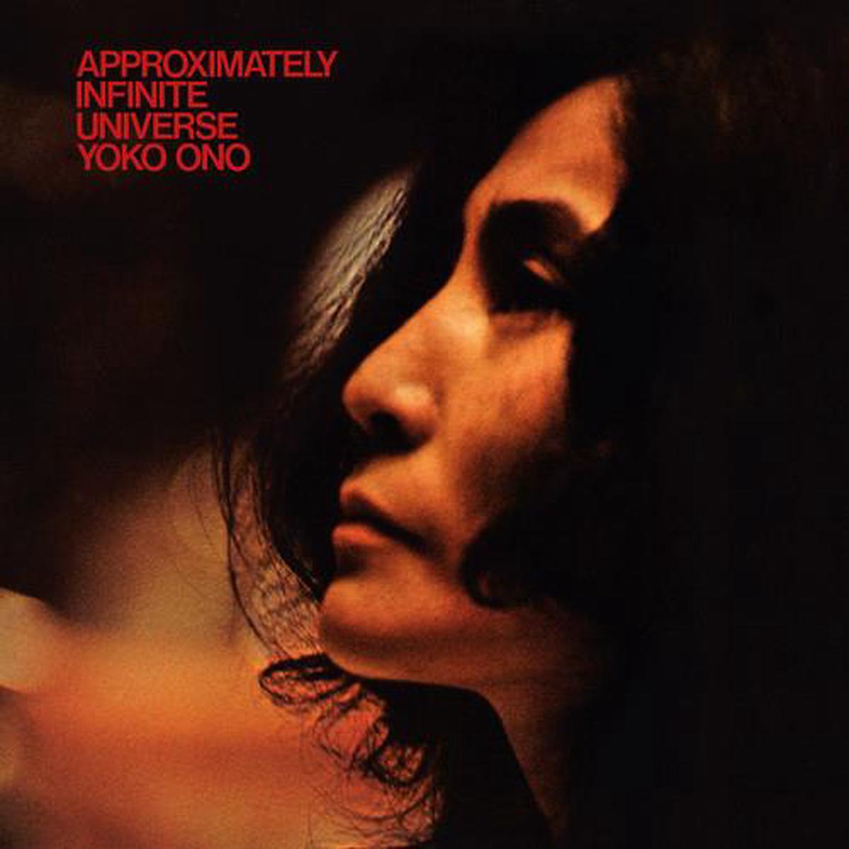 Approximately Infinite Universe - Vinyl LP