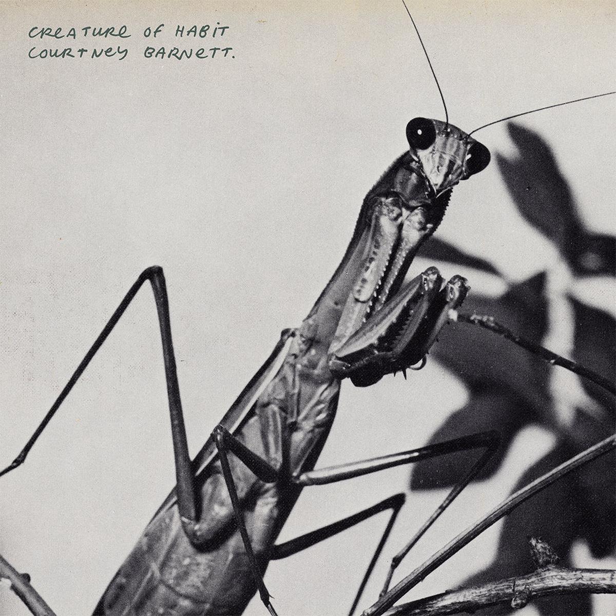 COURTNEY BARNETT - Creature Of Habit - LP - Black Vinyl [MAR 27]