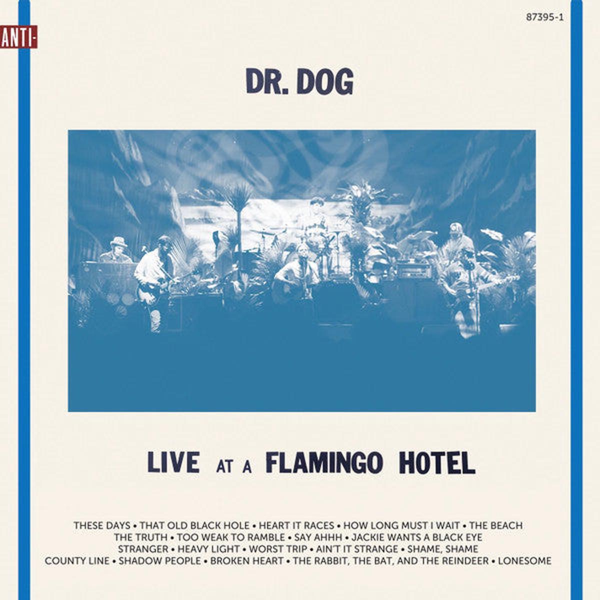 Dr. Dog Live At A Flamingo Hotel Vinyl LP 2015 - Default Title
