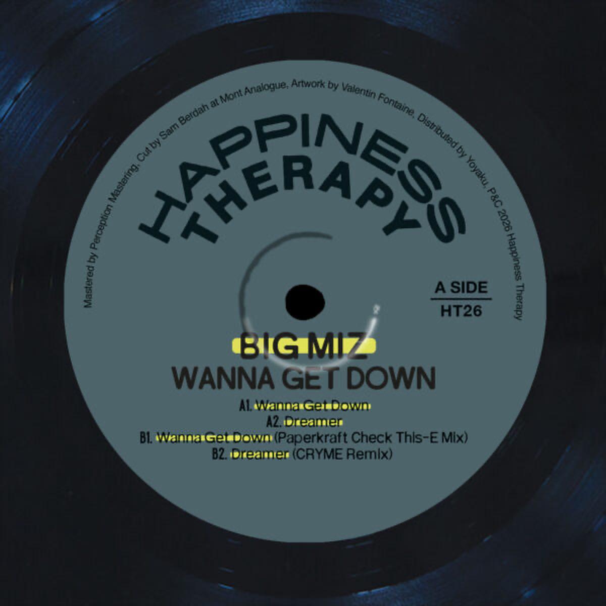 (PRESALE) Wanna Get Down (VINYL) | Mint (M) Mint (M) - - HOUSE *NEW*