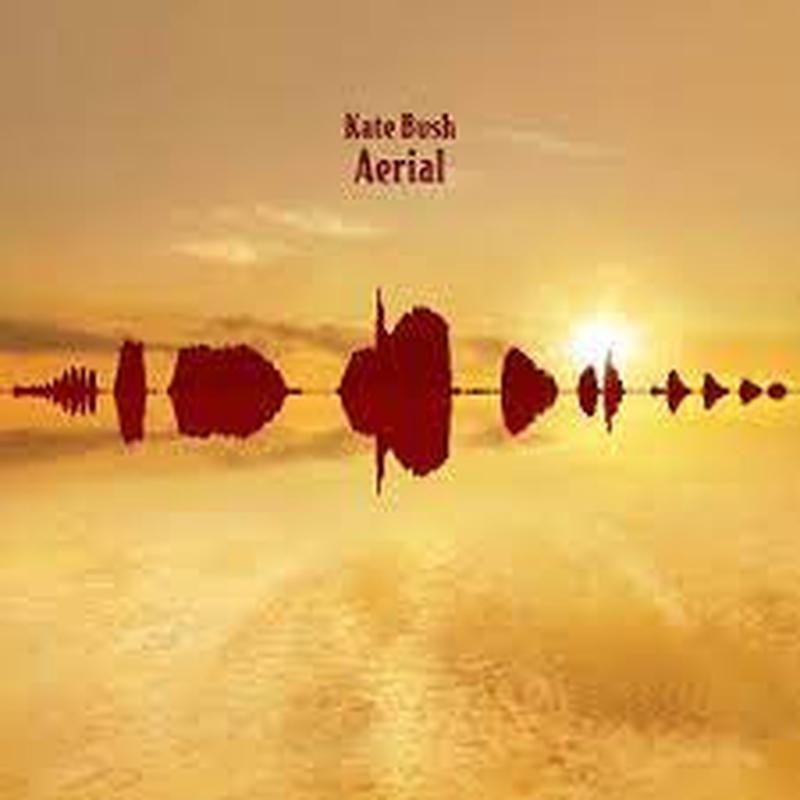 BUSH KATE-AERIAL 2LP NM COVER NM