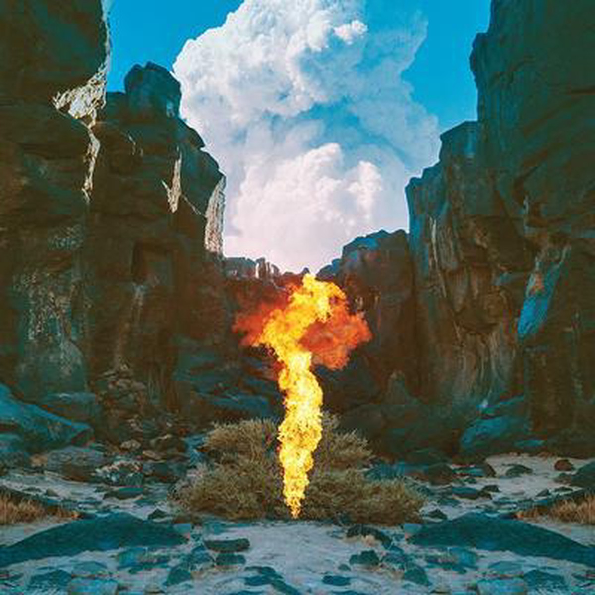 Migration: - Bonobo [VINYL]