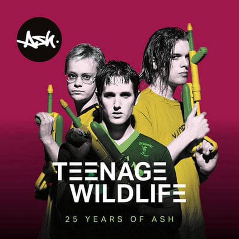 Teenage Wildlife: 25 Years of Ash - Ash [VINYL]
