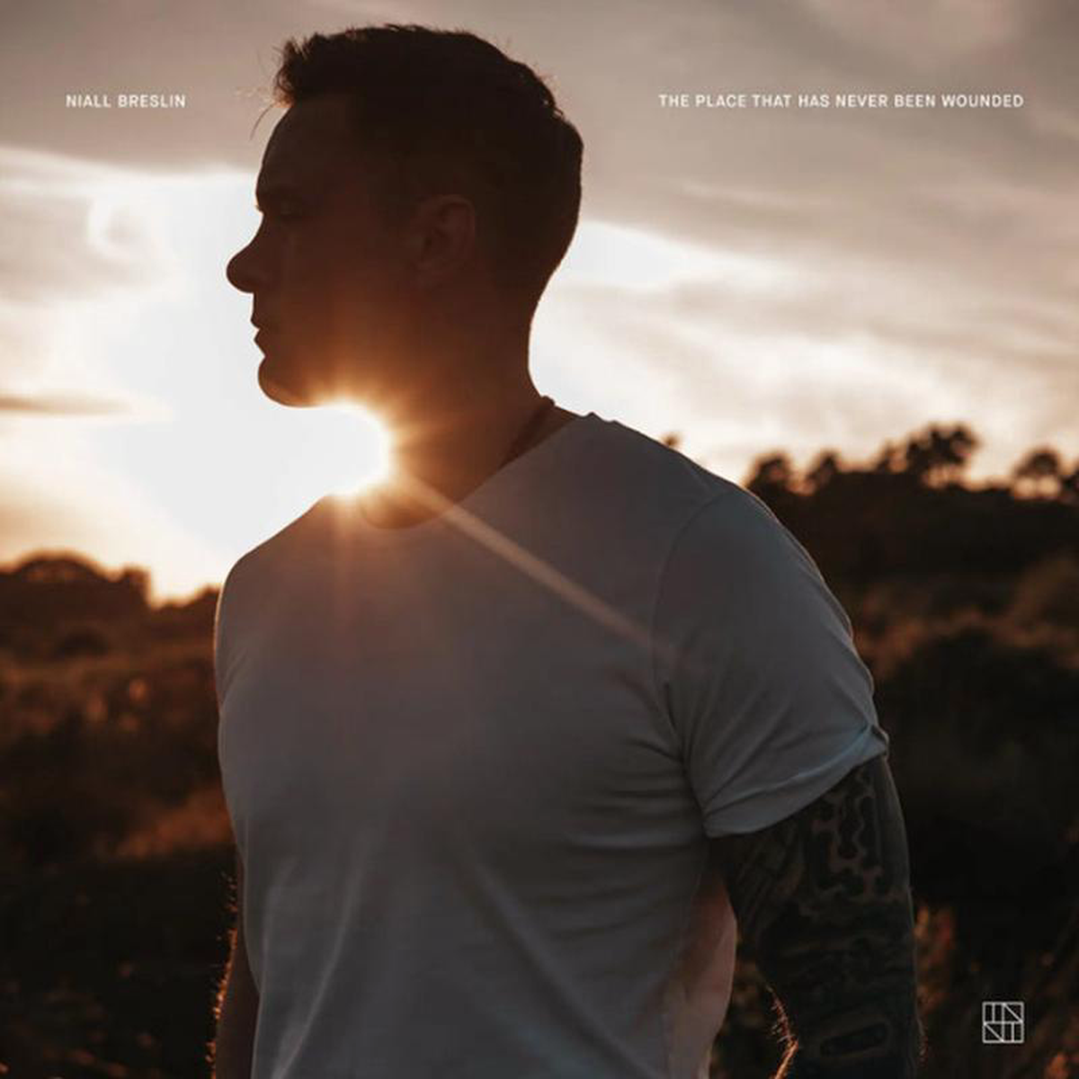 The Place That Has Never Been Wounded 8211 Niall Breslin VINYL