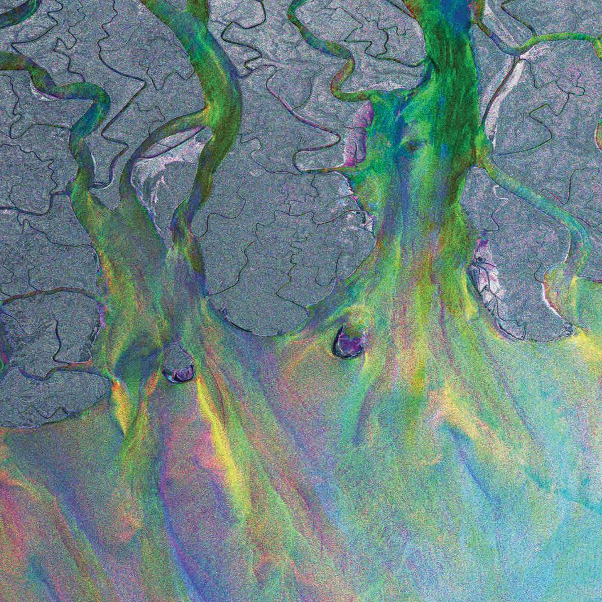 Alt-j - An Awesome Wave (Limited Edition, Recycled Metallic Vinyl) | Mint (M) Mint (M) - - ALT/INDIE *NEW/COLOR*