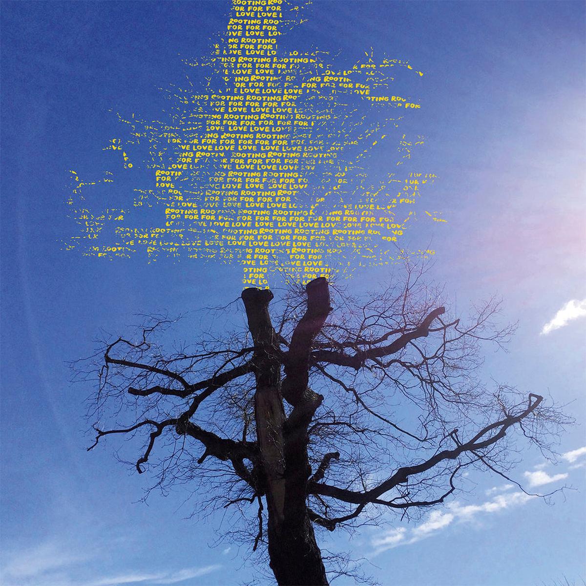 LAETITIA SADIER - Rooting For Love - LP - Splatter Vinyl