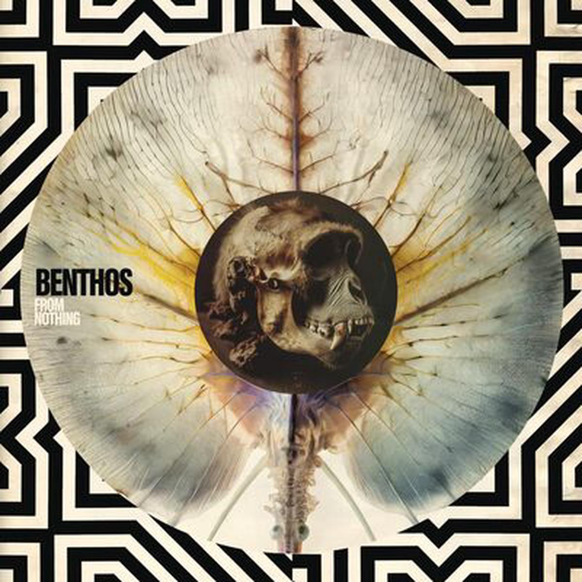 From Nothing 8211 Benthos VINYL Limited Edition