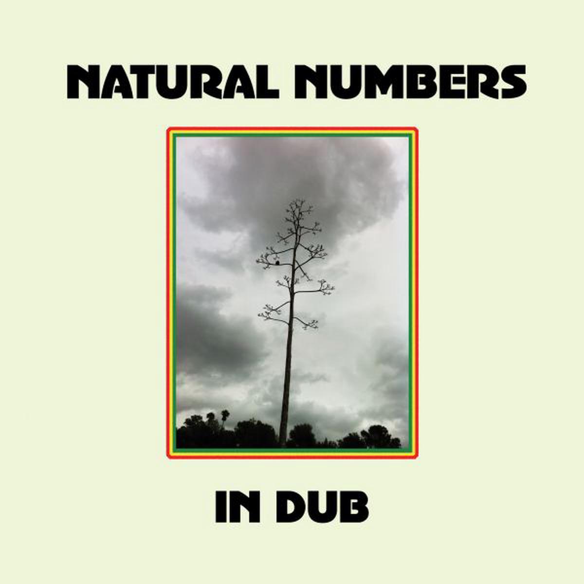 Natural Numbers Natural Numbers in Dub - Default Title