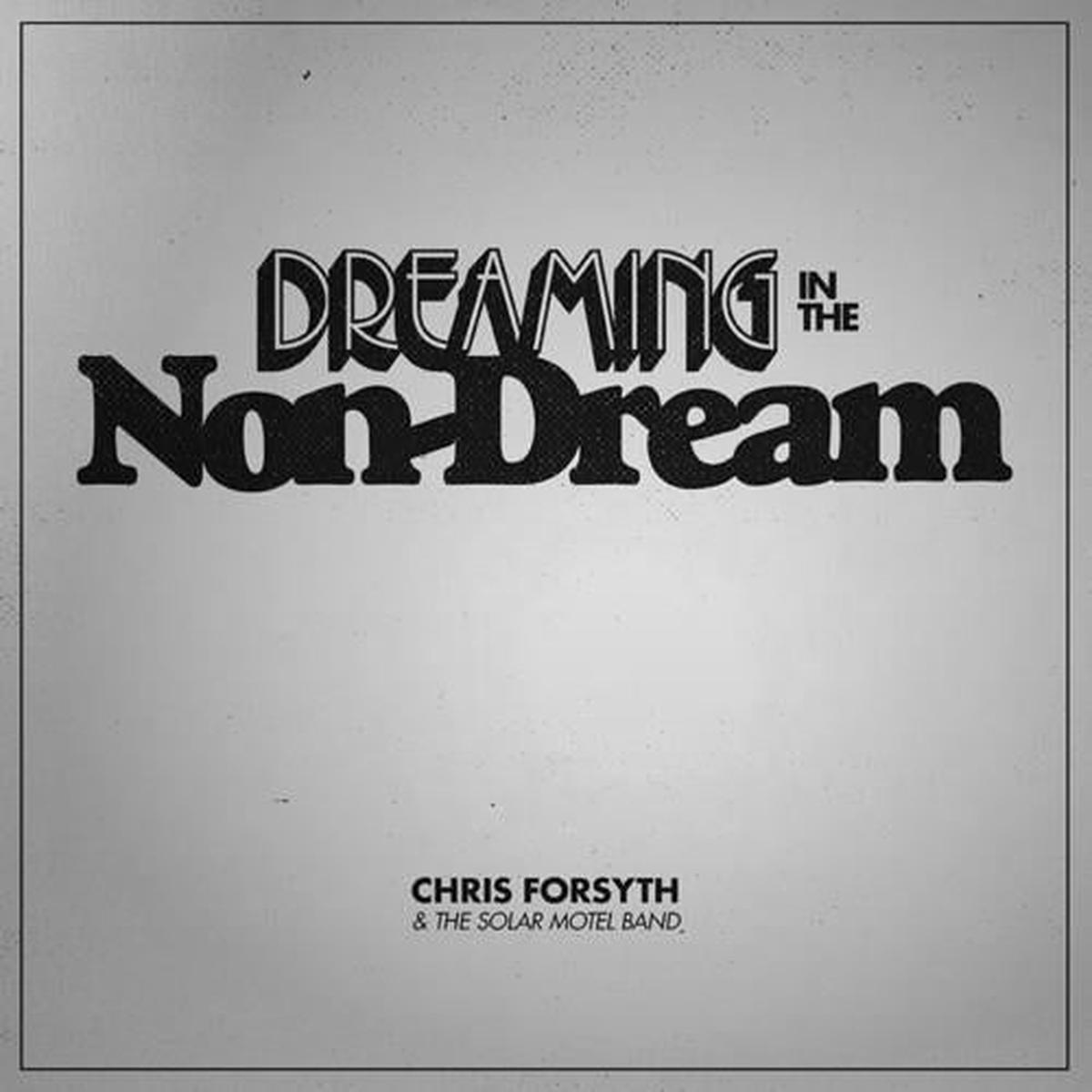 Dreaming In The Non-dream - Vinyl LP