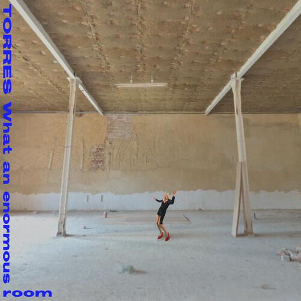 What An Enormous Room - Limited Edition Vinyl LP (BlueWhite)