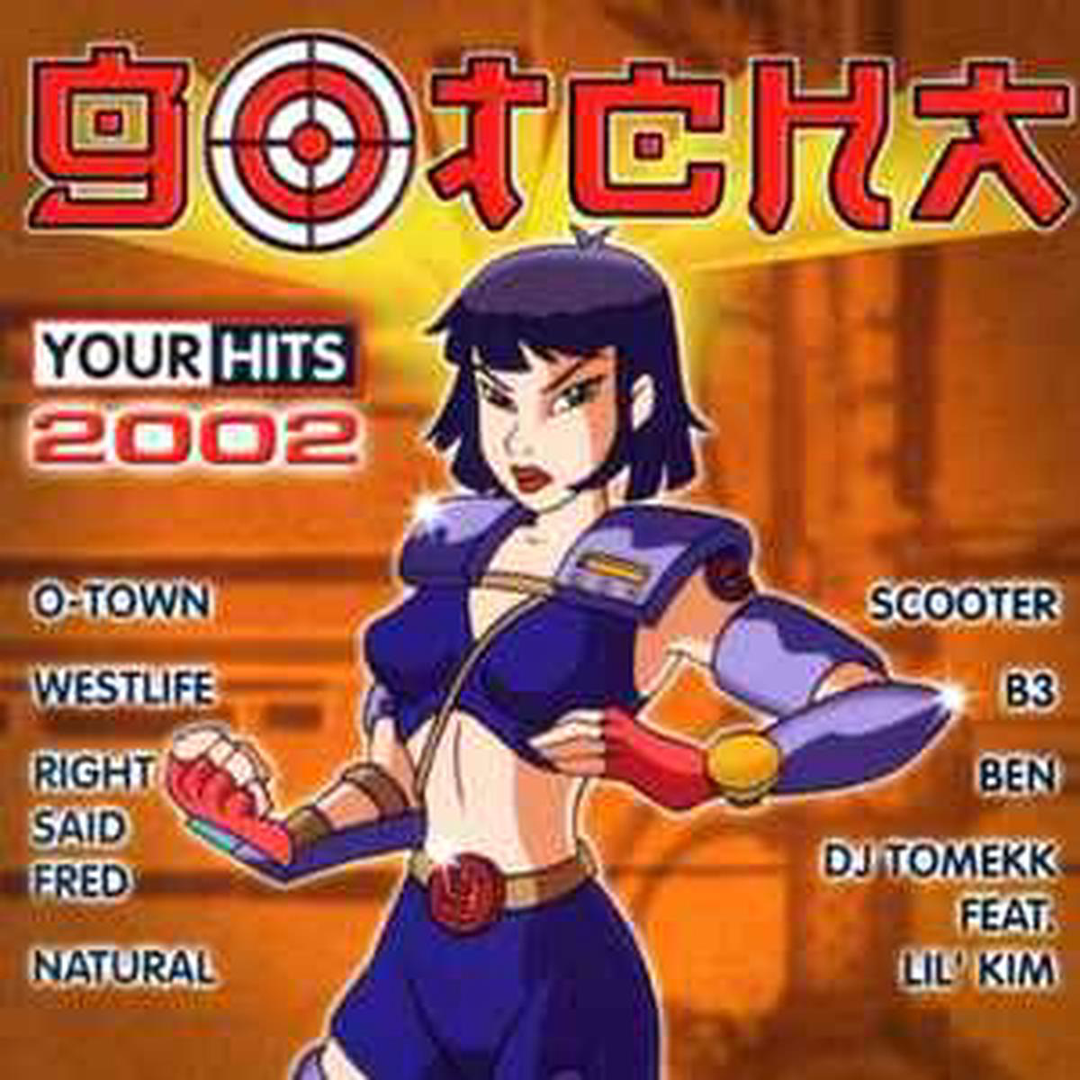 CD Various 8211 Gotcha 8211 Your Hits 2002