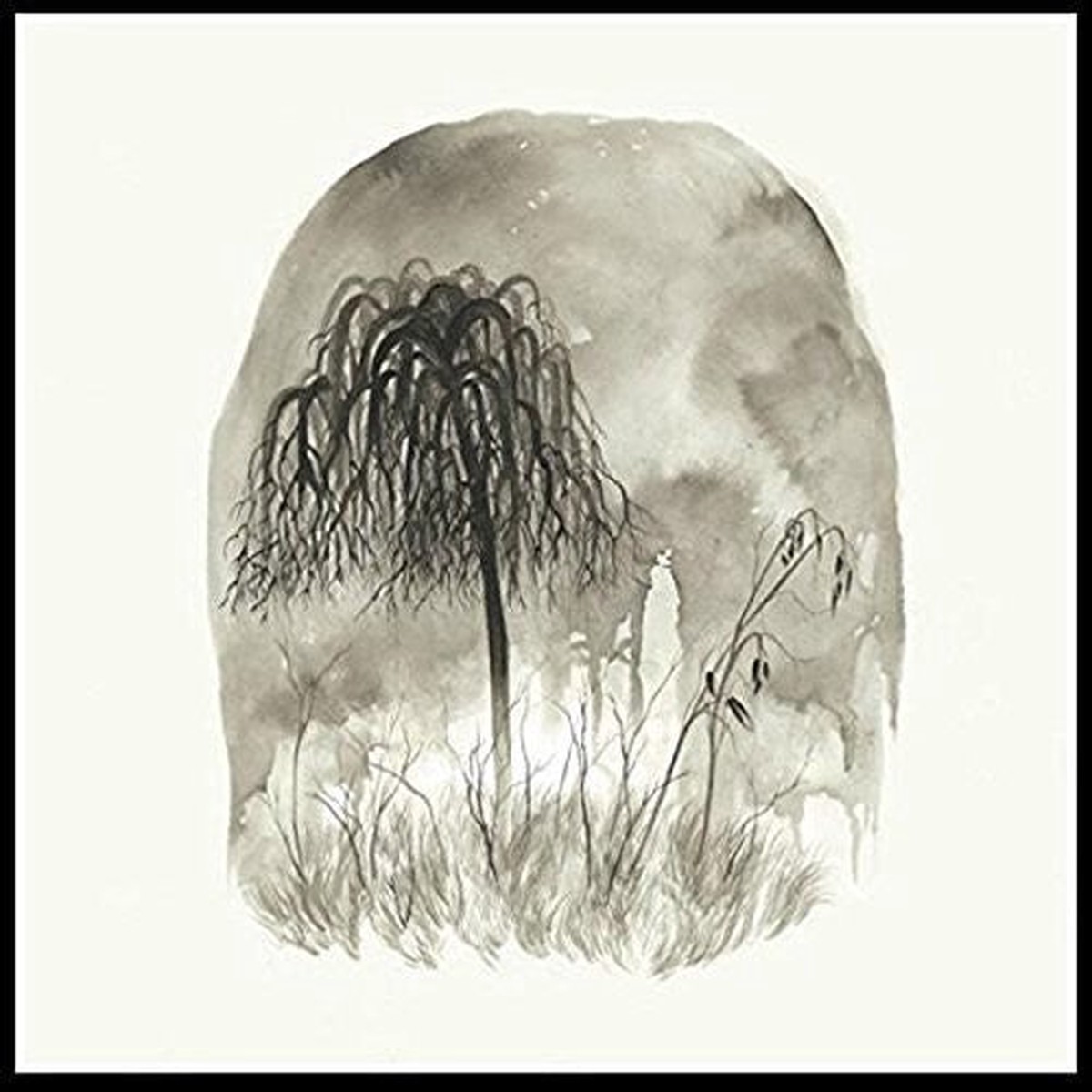 Woodpigeon: Trouble - COMPACT DISCS