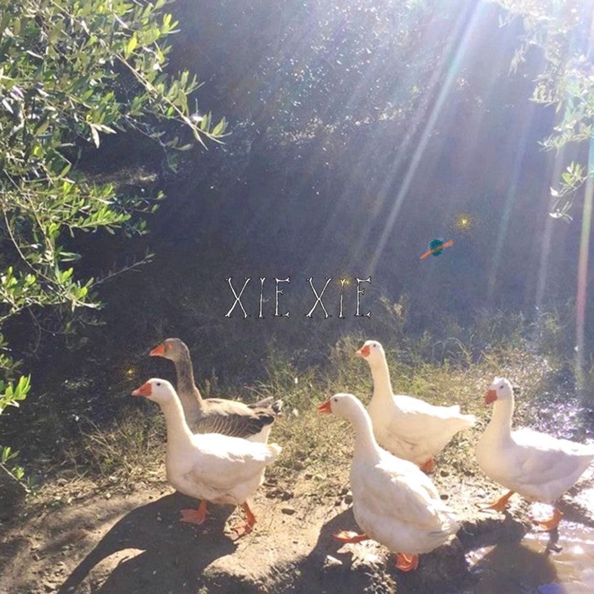 xiexieXIEXIE / 33CD(Expanded Edition)