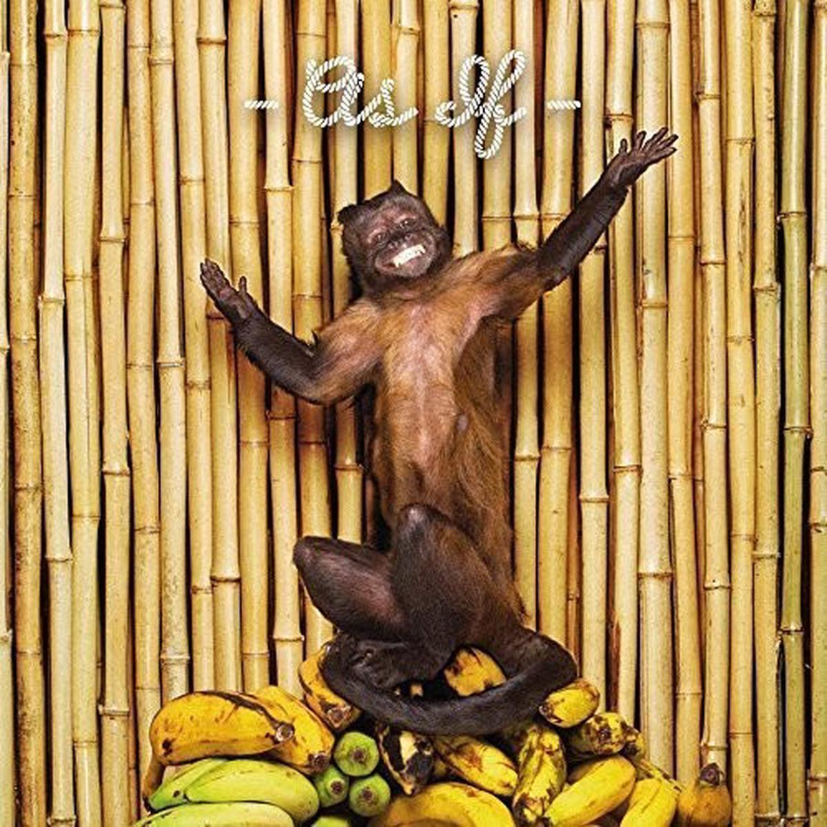 !!! (Chk Chk Chk): As If - COMPACT DISCS