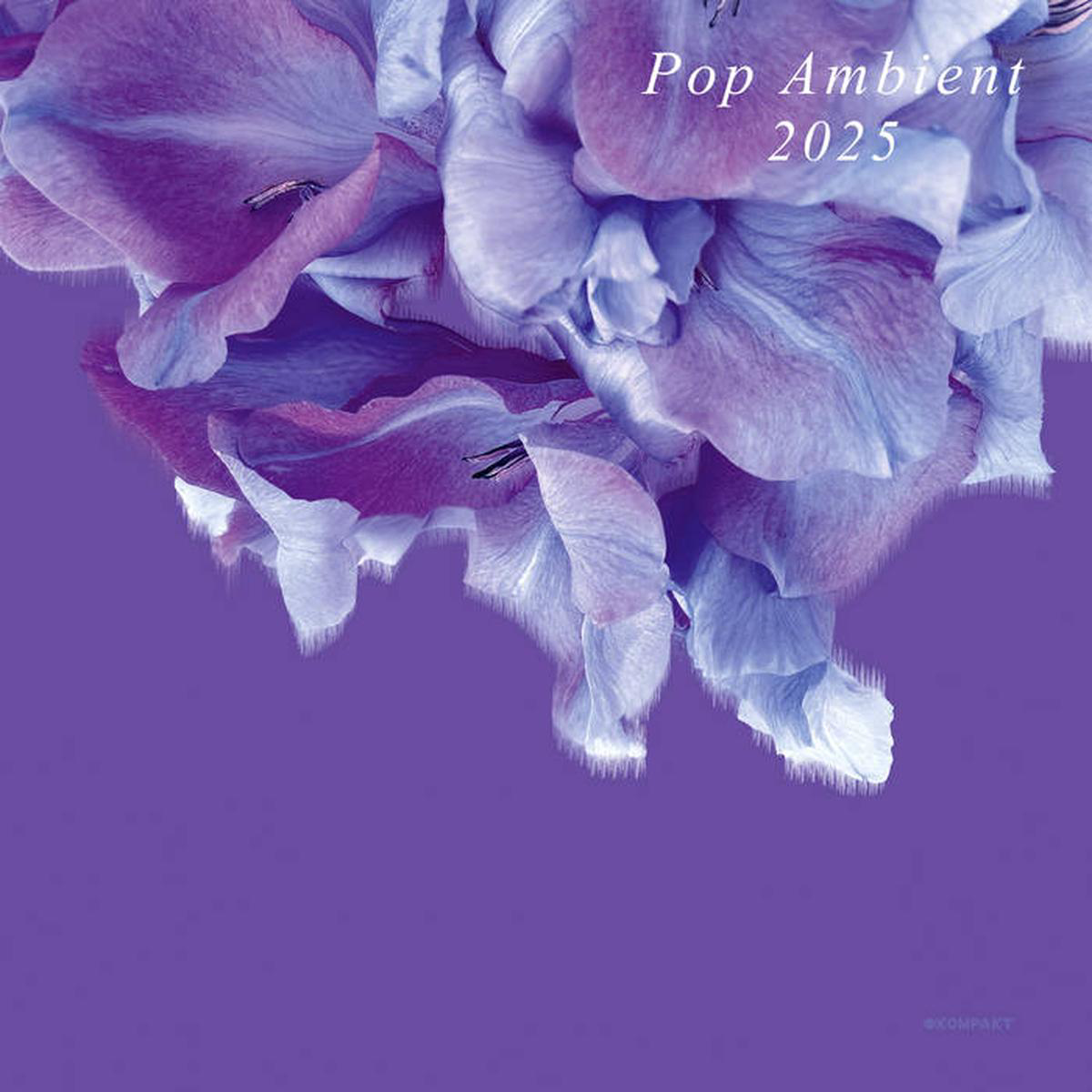 Various 8211 Pop Ambient 2025 (New Vinyl)