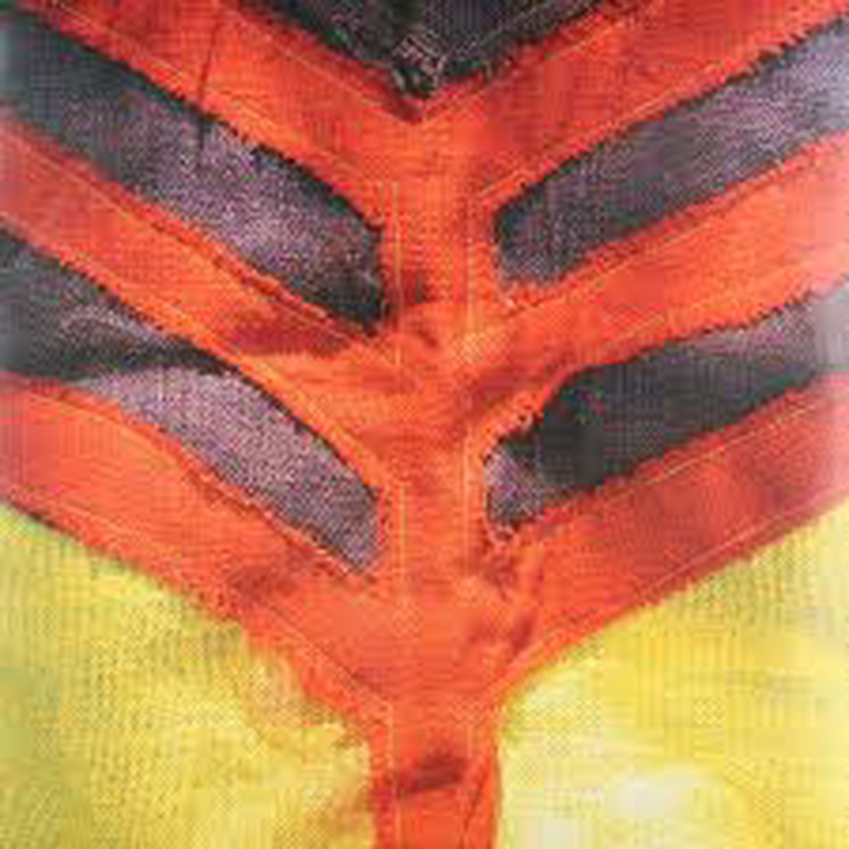 Yeah Yeah Yeahs - Show Your Bones (New Vinyl)