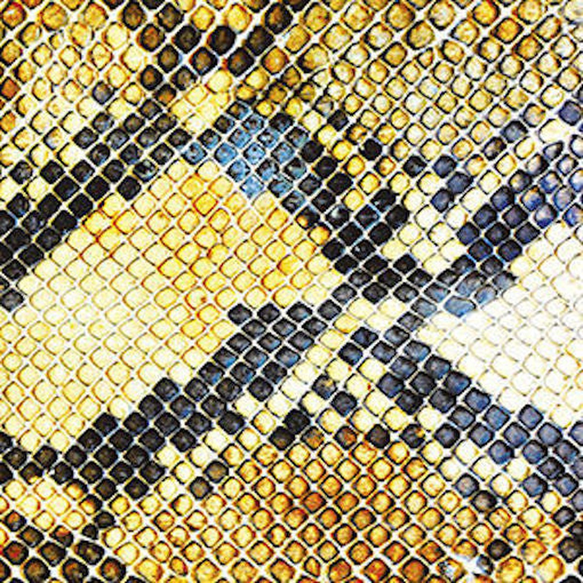 Amazing Snakeheads - Amphetamine Ballads