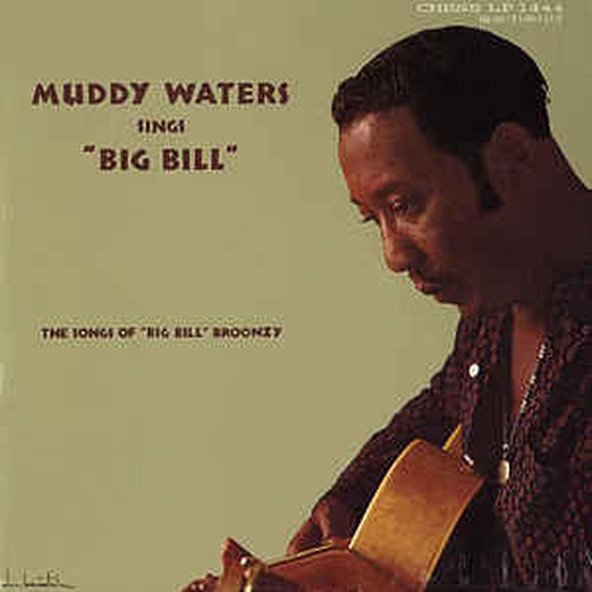 Waters, Muddy - Sings Big Bill