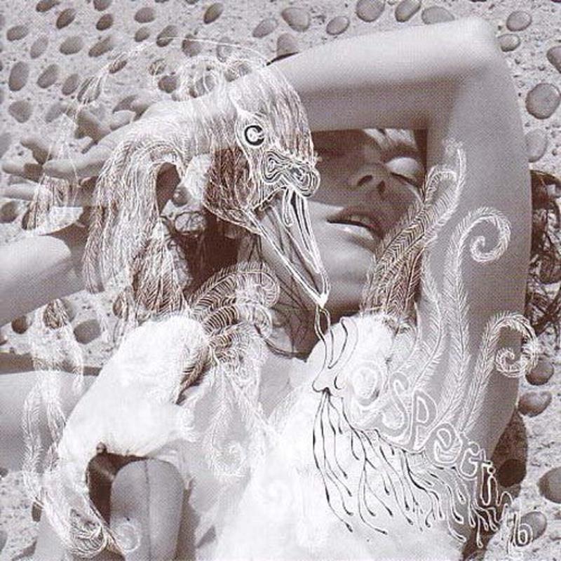 [DAMAGED] Bjork - Vespertine