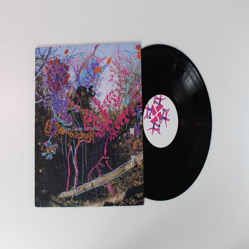 Animal Collective - Here Comes The Indian on Paw Tracks