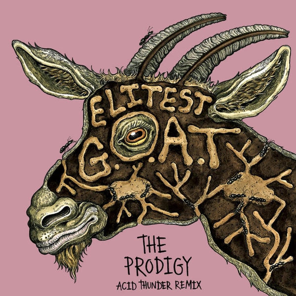 Aldous & Sleaford Mods Vs the Prodigy Harding - Elitest G.O.A.T. (Single)