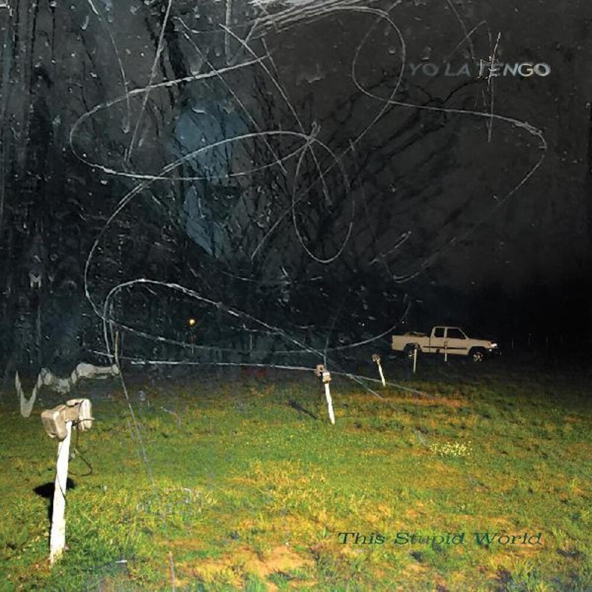 Yo La Tengo - This Stupid World [CD]