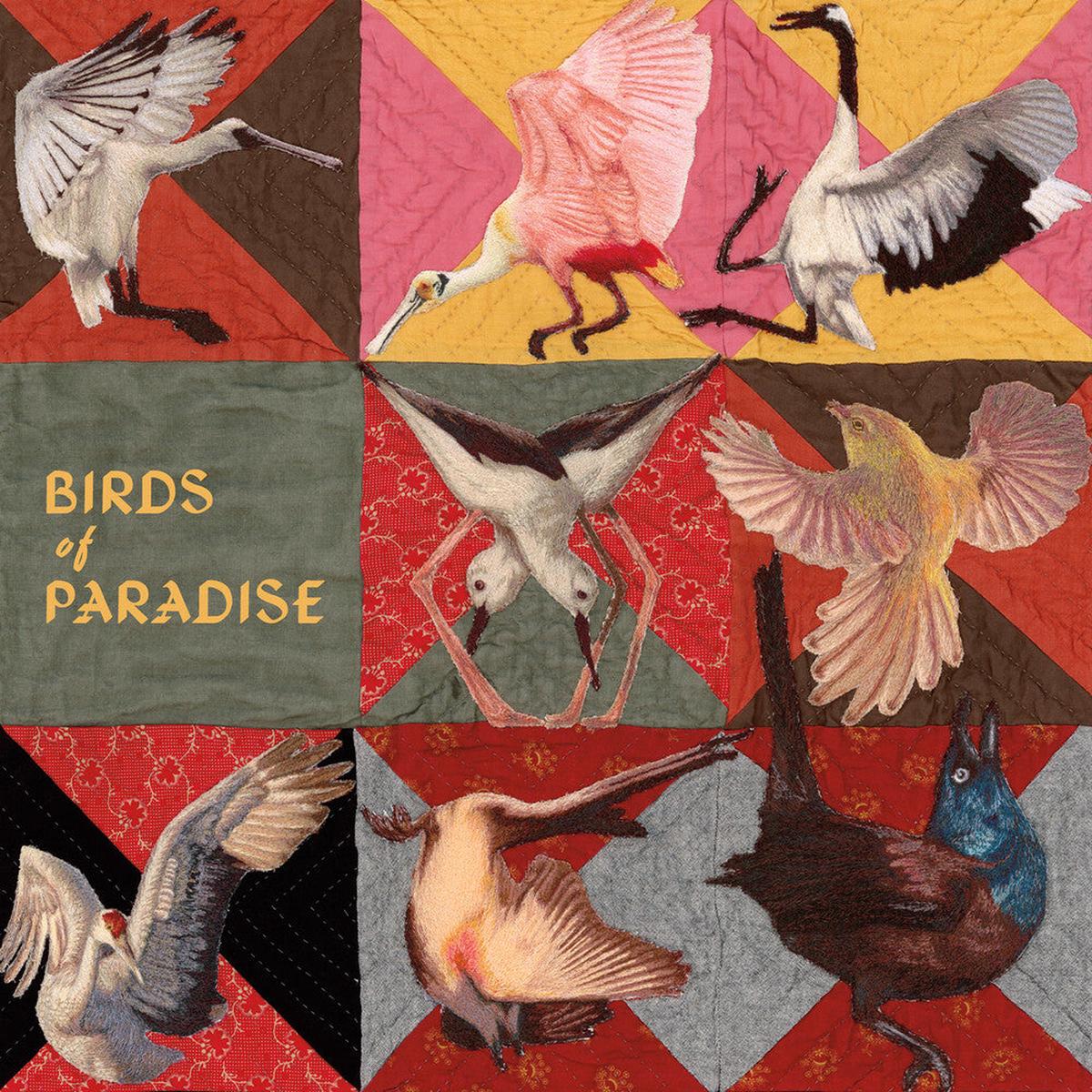 Thomas Dollbaum- Birds Of Paradise - Pink [Colored Vinyl] (Pnk) (PREORDER)