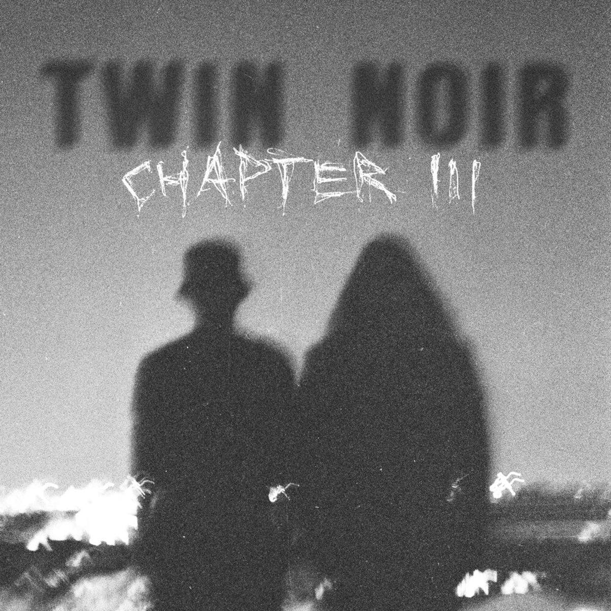 Twin Noir- Chapter 3
