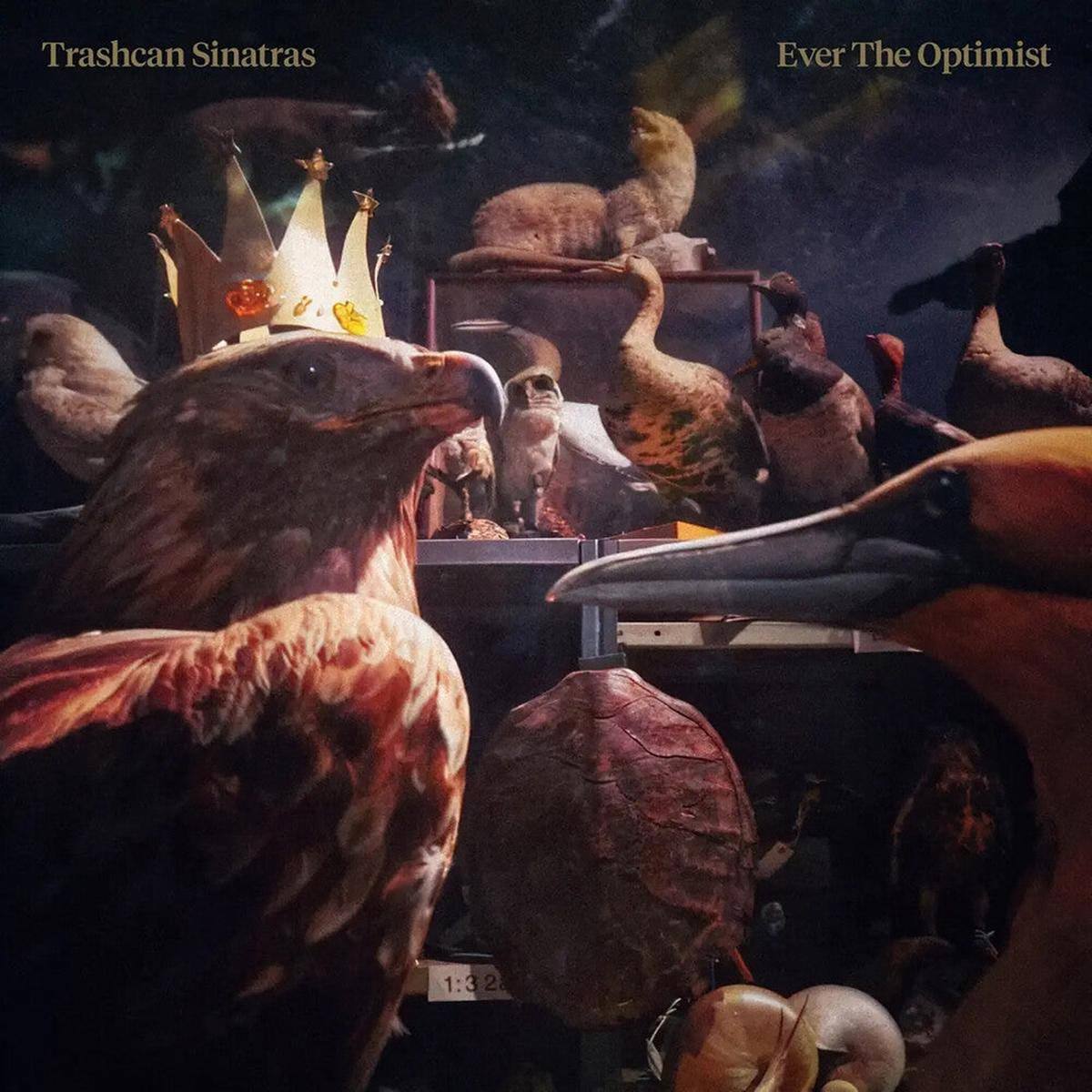 Trashcan Sinatras- Ever The Optimist (Uk) (PREORDER)